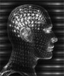 cerveau