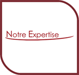 Expertise